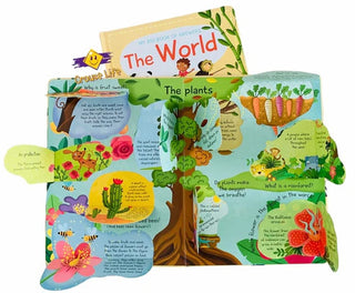 Big board book