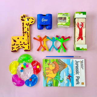 Mini Explorer Toy Bag