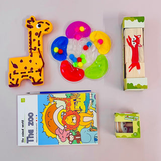 Mini Explorer Toy Bag (with Bag)