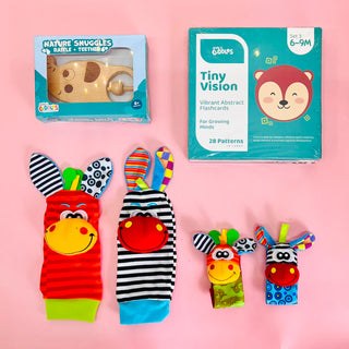 Baby’s First Play Set ( 0 to 12 months )