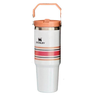Premium Quality Colourful Strip Design Stanley 887ml Tumbler for Kids (Random)