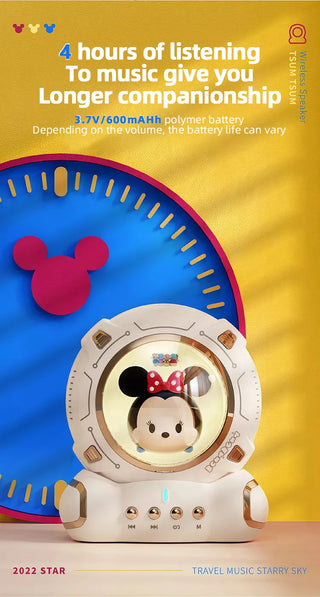 Disney Themed Speaker