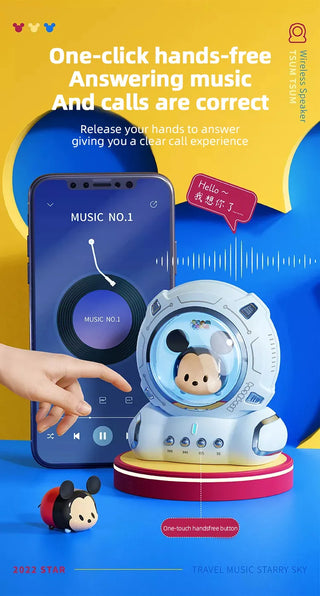 Disney Themed Speaker