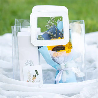Transparent Hand Bag 