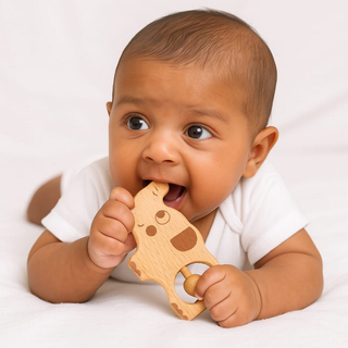 First Discoveries Toy Bundle (0-9 Months)