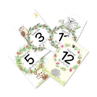 Jungle Safari Theme Baby Milestone Cards - Pack of 32