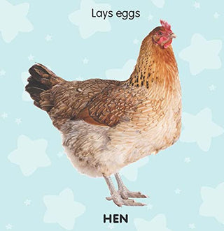 Farm Animals Touch and Feel Book for Kids To Learn Different Textures