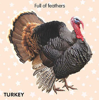 Farm Animals Touch and Feel Book for Kids To Learn Different Textures