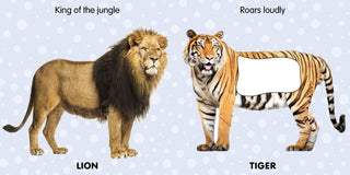 Touch and Feel 4 Board Books Gift Pack for Children Age 1 - 4 years