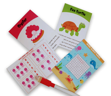 First Flashcards Combo Pack - (animals, fruits & vegetables, professions & space flashcards)