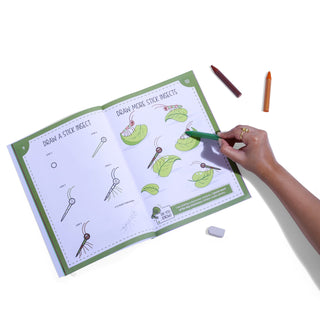 Drawing Book