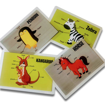 Animal Body Parts Flashcards