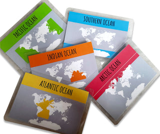 World continents and oceans Flahscards