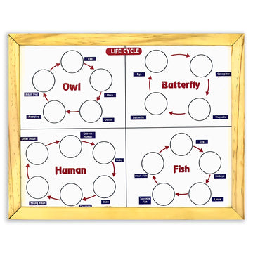 Magnetic Life cycle - Covering 7 Life Cycles