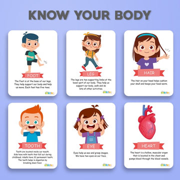 Know your Body – Flashcards