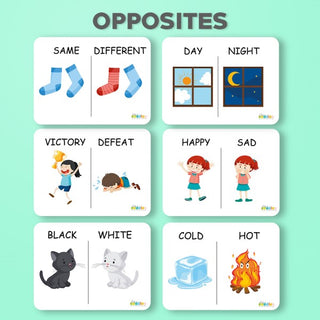 Opposites Flashcard