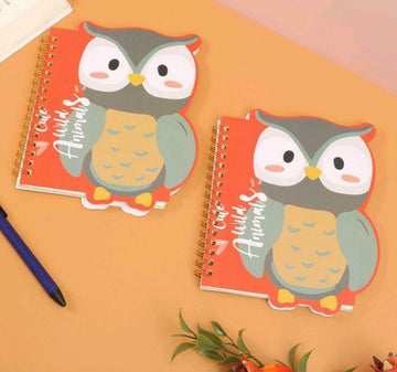Colourful Owl Theme  Notebook Diary