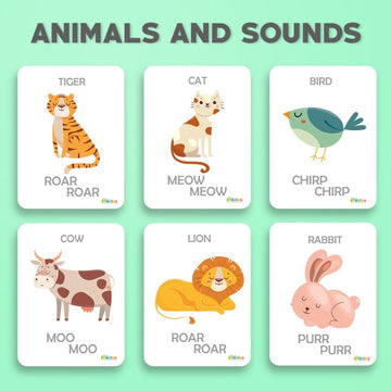 animal and sounds flashcard